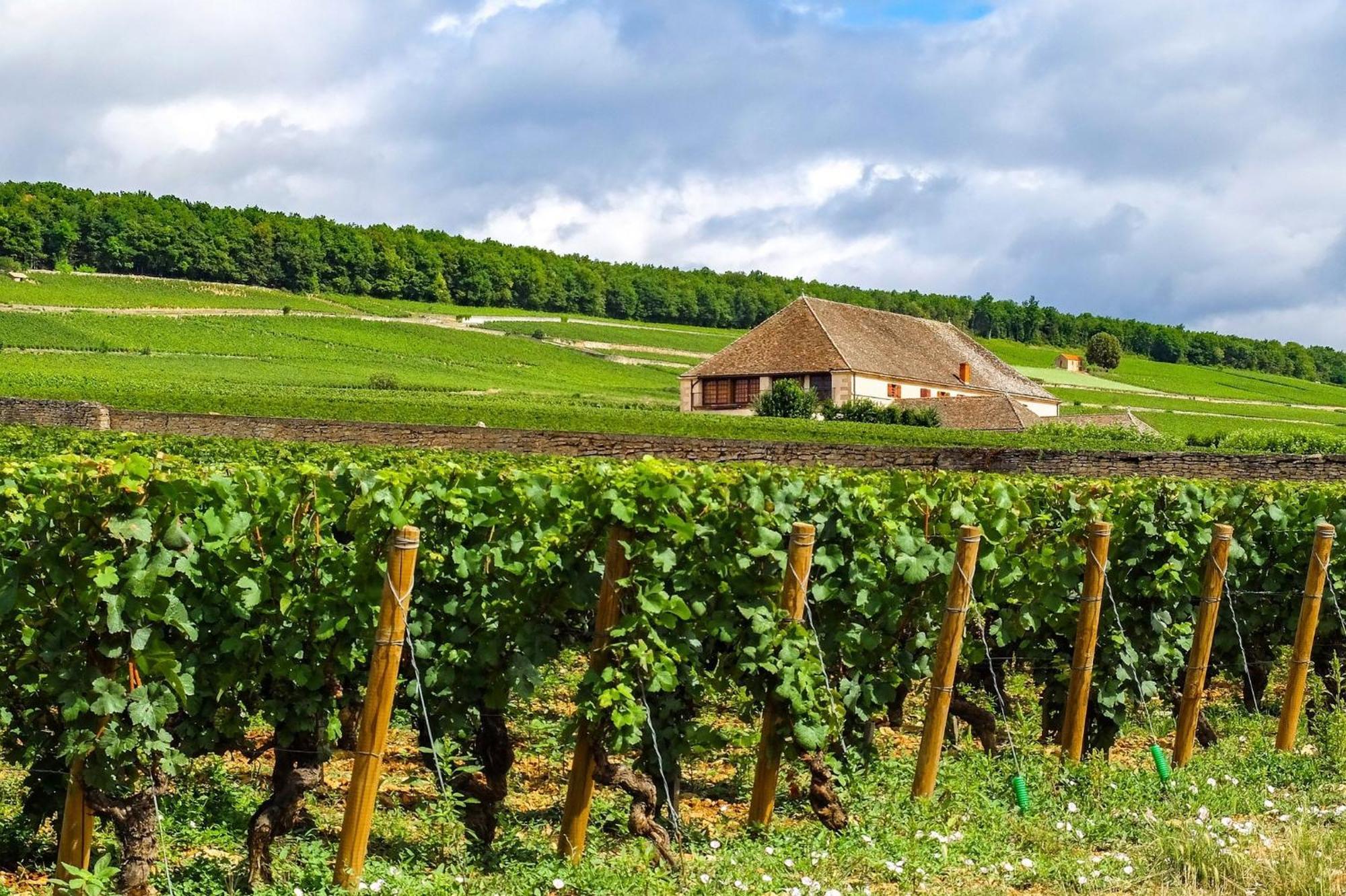 Voco Beaune , Cite Des Vins By Ihg Εξωτερικό φωτογραφία